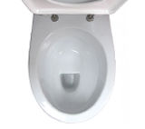 Унитазы с полочкой (тарельчатые)