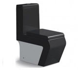 Унитазы черные