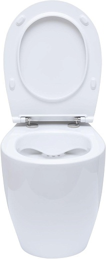 Allen Brau Унитаз приставной Fantasy 4.11007.20 белый глянец – картинка-13