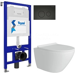 Teymi Унитаз подвесной Lina Pro T40112 с инсталляцией Aina T70011 с кнопкой Lina T70103BM – фотография-1
