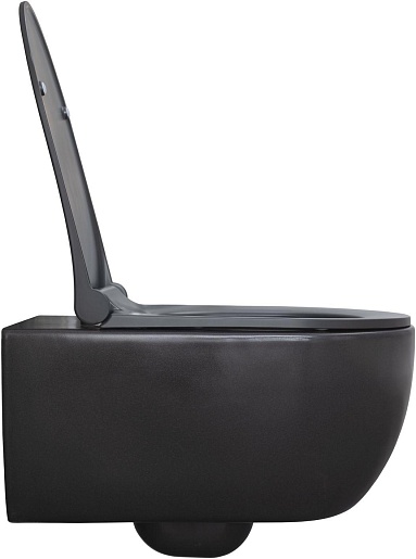 Allen Brau Унитаз подвесной Priority 4.31001.AN антрацит с крышкой 4.31004.AN – фотография-2