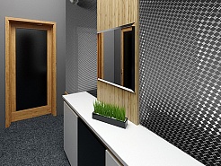 ДСТ Зеркальная мозаика – фотография-3