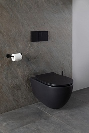 Allen Brau Чаша подвесного унитаза Reality 4.32006.31 чёрный матовый – фотография-14