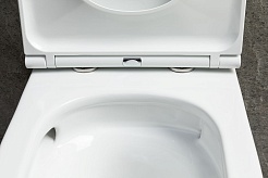 Allen Brau Унитаз подвесной Priority 4.31008.20 белый глянец с крышкой 4.31010.20 – фотография-9