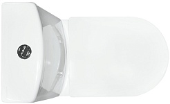 Sanita Luxe Унитаз-компакт Next luxe 423751 с микролифтом – фотография-4