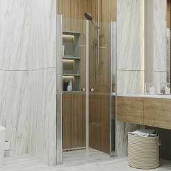 Triton Душевая дверь в нишу Дабл 100x185 – фотография-2
