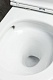 Allen Brau Унитаз подвесной Priority 4.31008.20 белый глянец с крышкой 4.31010.20 – картинка-26