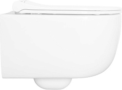 Allen Brau Унитаз подвесной Priority 4.31002.20 белый глянец с крышкой 4.31004.20 – фотография-2