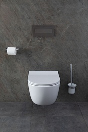 Allen Brau Унитаз с инсталляцией Priority 00301296/8.9466.0.000.000.1 белый глянец – фотография-15