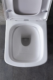 Allen Brau Унитаз с инсталляцией Liberty 4.33004.20/8.9466.0.000.000.1 белый глянец – фотография-15