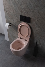 Allen Brau Унитаз подвесной Fantasy 4.11004.SM розовый с крышкой 4.11005.SM – фотография-7