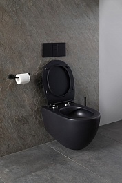 Allen Brau Чаша подвесного унитаза Reality 4.32006.31 чёрный матовый – фотография-13