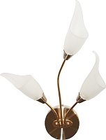 N-Light Бра BX-0143/3B brass