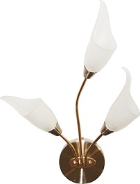 N-Light Бра BX-0143/3B brass – фотография-1