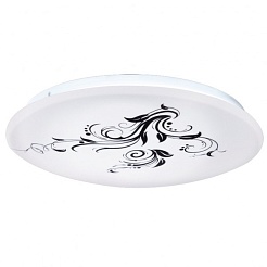 Eglo Светильник "Competa 93641" настенно-потолочный – фотография-1