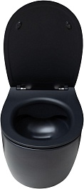 Allen Brau Чаша подвесного унитаза Fantasy 4.11004.31 чёрный матовый – фотография-3