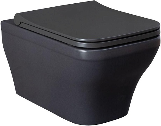 Allen Brau Чаша подвесного унитаза Infinity 4.21011.AN антрацит – фото-1