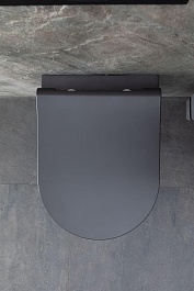 Allen Brau Чаша подвесного унитаза Priority 4.31002.AN антрацит – фотография-18