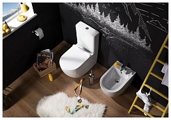 Aquanet Сливной бачок Cetus-C2 BL-102N-TPT – фотография-7