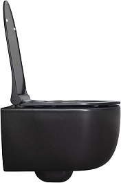 Allen Brau Чаша подвесного унитаза Priority 4.31002.31 чёрный матовый – фотография-10