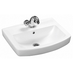 Rosa Раковина Ока – фотография-1