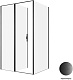 Allen Brau Душевой уголок Priority 120x100 3.31033.BBA/3.31048.BBA чёрный браш – картинка-10