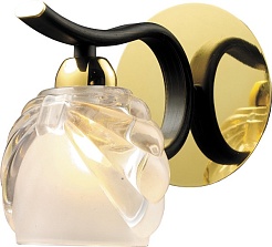 N-Light Бра 438-01-31 – фотография-1