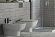 Ideal Standard Биде подвесное Esedra T281501 – фотография-8