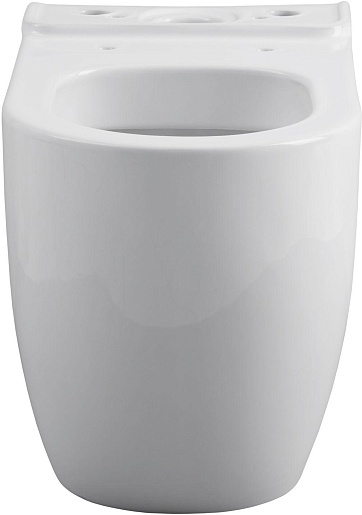 Allen Brau Унитаз напольный Priority 4.31003.20 белый – фотография-2