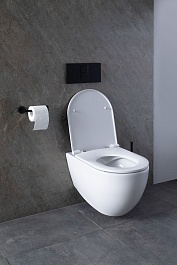 Allen Brau Унитаз с инсталляцией Reality 4.32006.20/8.9466.0.000.000.1 белый глянец – фотография-15