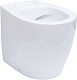 Allen Brau Унитаз приставной Fantasy 4.11007.20 белый глянец – картинка-42