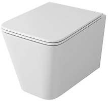 Owl 1975 Унитаз безободковый Vatter Ruta-H с сиденьем DP микролифт