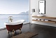 BelBagno Акриловая ванна BB04-ROS-BRN, ножки BB-LEG-LION-BRN – картинка-7