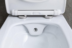 Allen Brau Чаша подвесного унитаза Liberty 4.33009.20 белый – фотография-21