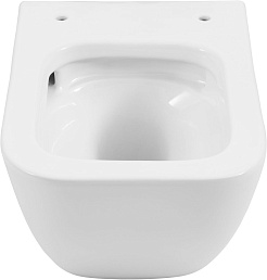 Allen Brau Унитаз подвесной Liberty 4.33011.20 белый с крышкой 4.33015.20 – фотография-21