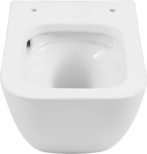 Allen Brau Унитаз подвесной Liberty 4.33011.20 белый с крышкой 4.33015.20 – картинка-21