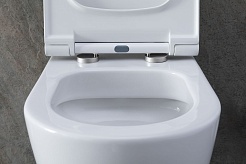 Allen Brau Унитаз с инсталляцией Priority 4.31002.20/8.9466.0.000.000.1 белый глянец – фотография-6