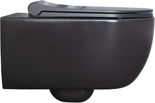 Allen Brau Унитаз подвесной Priority 4.31001.AN антрацит с крышкой 4.31004.AN – картинка-7