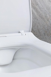 Allen Brau Чаша подвесного унитаза Liberty 4.33007.21 белый матовый – фотография-14