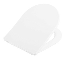 BelBagno Крышка-сиденье BB2031SC с микролифтом, петли хром