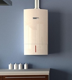 Bosch Газовый котел настенный ZBR 42-3 – фотография-3