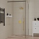 Paini Душевая перегородка PAINI-WalkIN110F 110x195 рисунок рамка – картинка-12