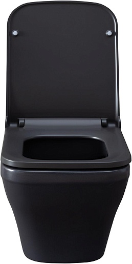 Allen Brau Чаша подвесного унитаза Infinity 4.21011.AN антрацит – картинка-5