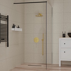 Paini Душевая перегородка PAINI-WalkIN100F 100x195 рисунок рамка – фотография-6