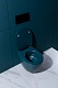 Allen Brau Унитаз подвесной Fantasy 4.11004.PT петроль с крышкой 4.11005.PT – картинка-43