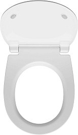 Allen Brau Унитаз подвесной Fantasy 4.11004.21 белый матовый с крышкой 4.11005.21 – фотография-6