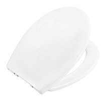 BelBagno Крышка-сиденье Acqua BB2020-1SC с микролифтом
