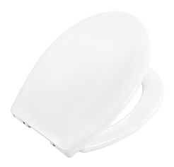 BelBagno Крышка-сиденье Acqua BB2020-1SC с микролифтом – фотография-1