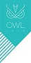 Owl 1975