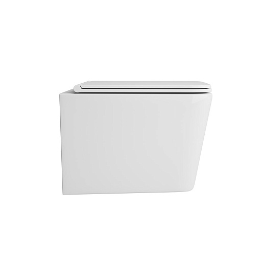 Owl 1975 Унитаз безободковый Vatter Ruta-H с сиденьем DP микролифт – фотография-6